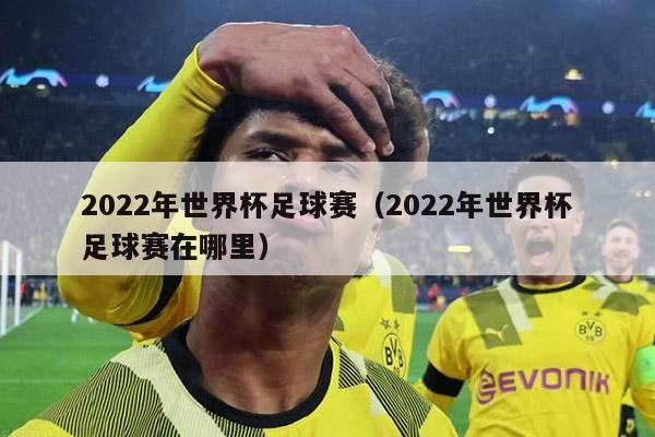 2022年世界杯足球赛（2022年世界杯足球赛在哪里）