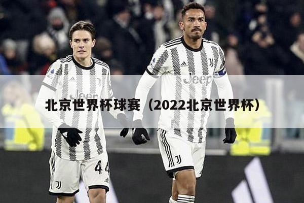 北京世界杯球赛（2022北京世界杯）