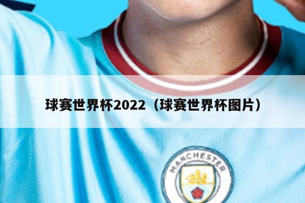 球赛世界杯2022（球赛世界杯图片）