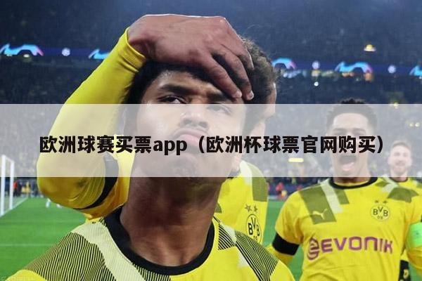 欧洲球赛买票app（欧洲杯球票官网购买）