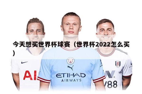 今天想买世界杯球赛（世界杯2022怎么买）