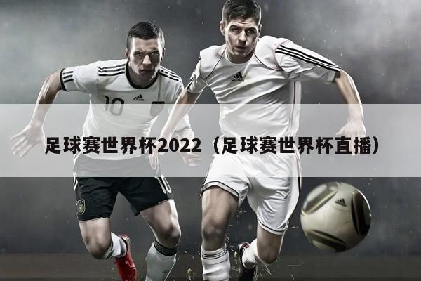 足球赛世界杯2022（足球赛世界杯直播）