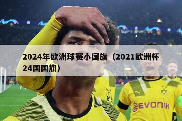 2024年欧洲球赛小国旗（2021欧洲杯24国国旗）