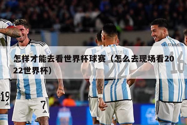 怎样才能去看世界杯球赛（怎么去现场看2022世界杯）