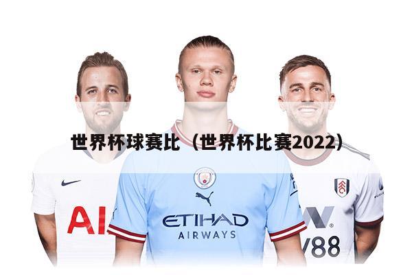 世界杯球赛比（世界杯比赛2022）