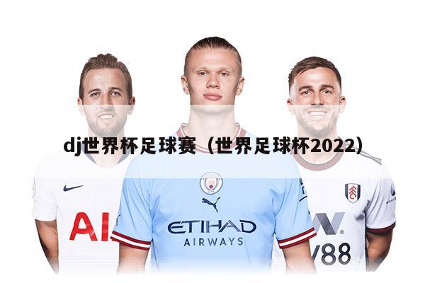 dj世界杯足球赛（世界足球杯2022）