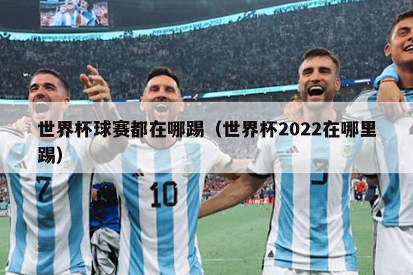 世界杯球赛都在哪踢（世界杯2022在哪里踢）