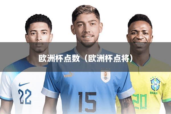 欧洲杯点数（欧洲杯点将）