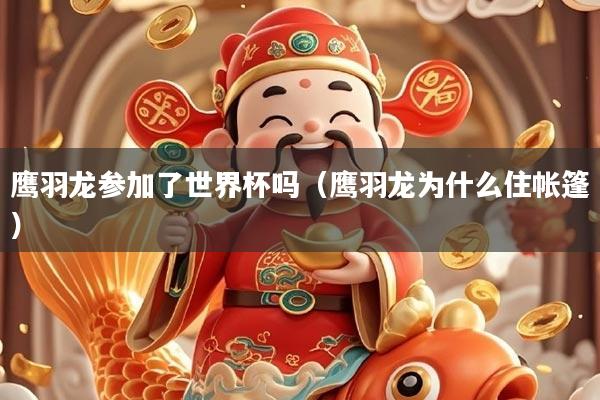 鹰羽龙参加了世界杯吗（鹰羽龙为什么住帐篷）