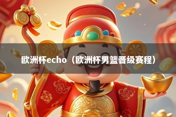 欧洲杯echo(欧洲杯男篮晋级赛程)